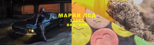 стафф Бородино