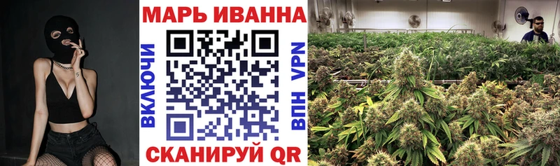 Каннабис конопля Никольское